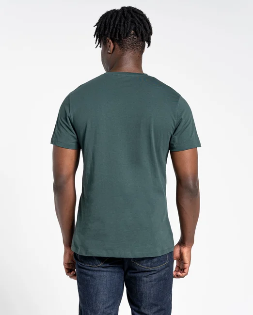 cmt959_f3c_sprucegreenwaterfall_02